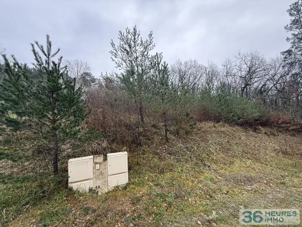 Terrain a batir a vendre aux encheres en ligne Boulazac Isle Manoire 24330 Dordogne 24 40000 euros ASS-260317-110058 003