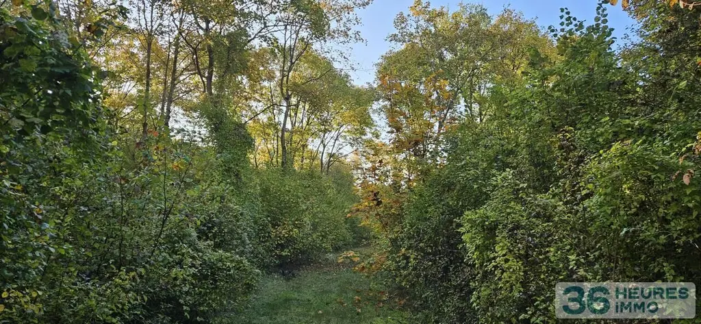 Propriete a vendre aux encheres en ligne Beine-Nauroy 51490 Marne 51 475000 euros Propriété Forestière 36h 003