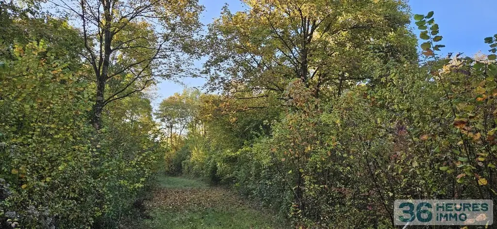 Propriete a vendre aux encheres en ligne Beine-Nauroy 51490 Marne 51 475000 euros Propriété Forestière 36h 004