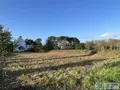 Terrain a batir a vendre aux encheres en ligne Névez 29920 Finistère 29 147000 euros 36H - TAB DOUR 29119*006 002