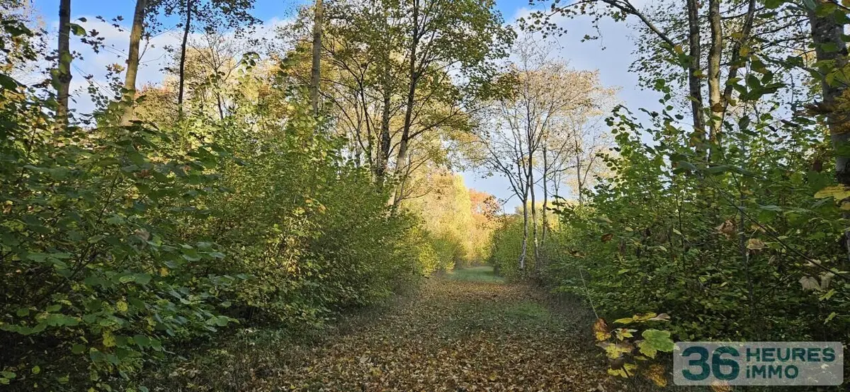 Propriete a vendre aux encheres en ligne Beine-Nauroy 51490 Marne 51 475000 euros Propriété Forestière 36h 002