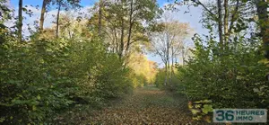 Propriete a vendre aux encheres en ligne Beine-Nauroy 51490 Marne 51 475000 euros Propriété Forestière 36h 002