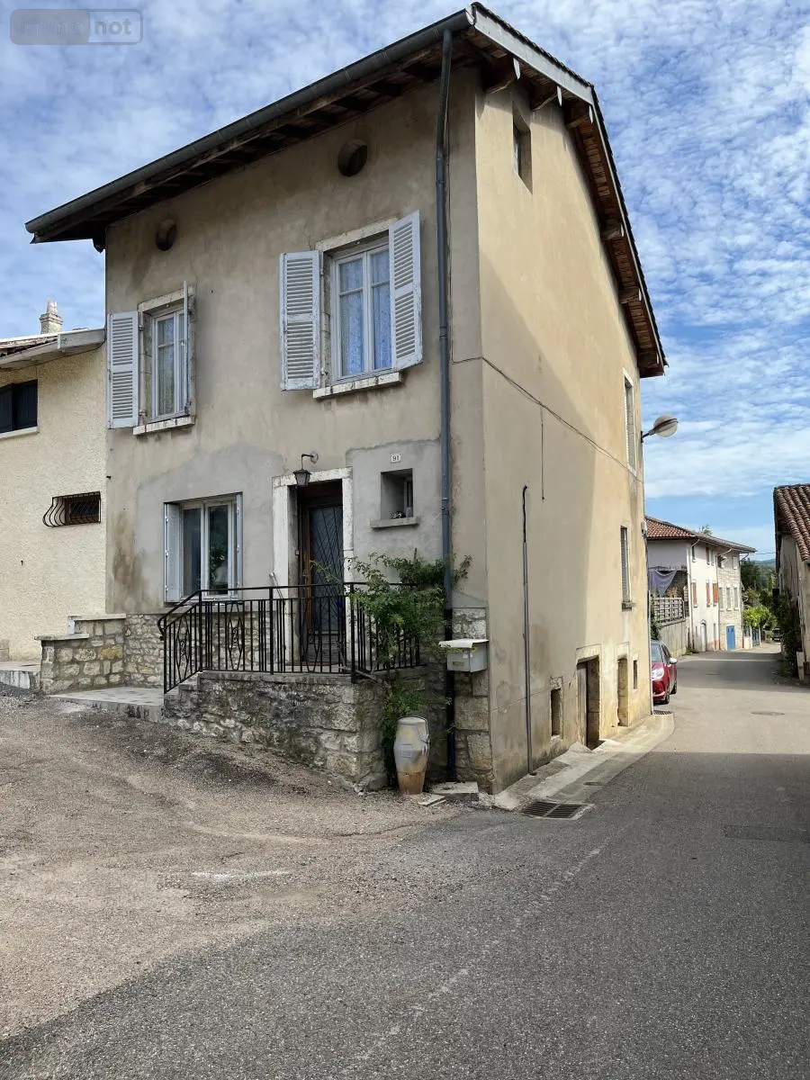 Maison en vente Neuville-sur-Ain (01160)