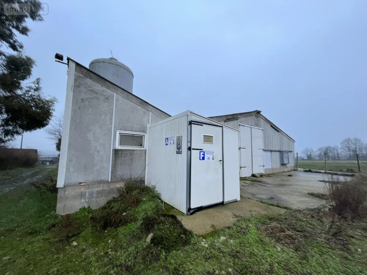 Divers en vente Bouchamps-lès-Craon (53800)
