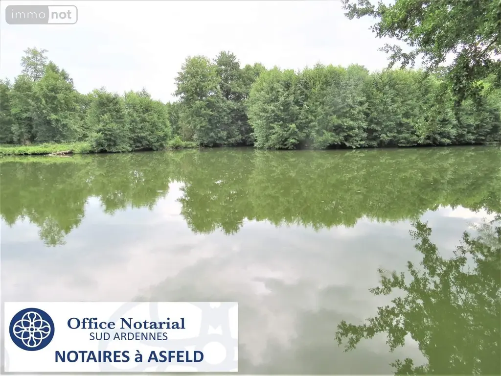 Terrains de loisirs bois etangs a vendre Fraillicourt 08220 Ardennes 08 98600 euros 021/1750 001