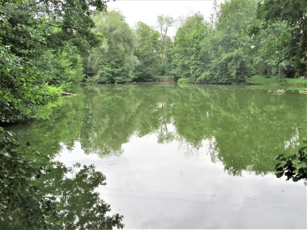 Terrains de loisirs bois etangs a vendre Fraillicourt 08220 Ardennes 08 98600 euros 021/1750 002