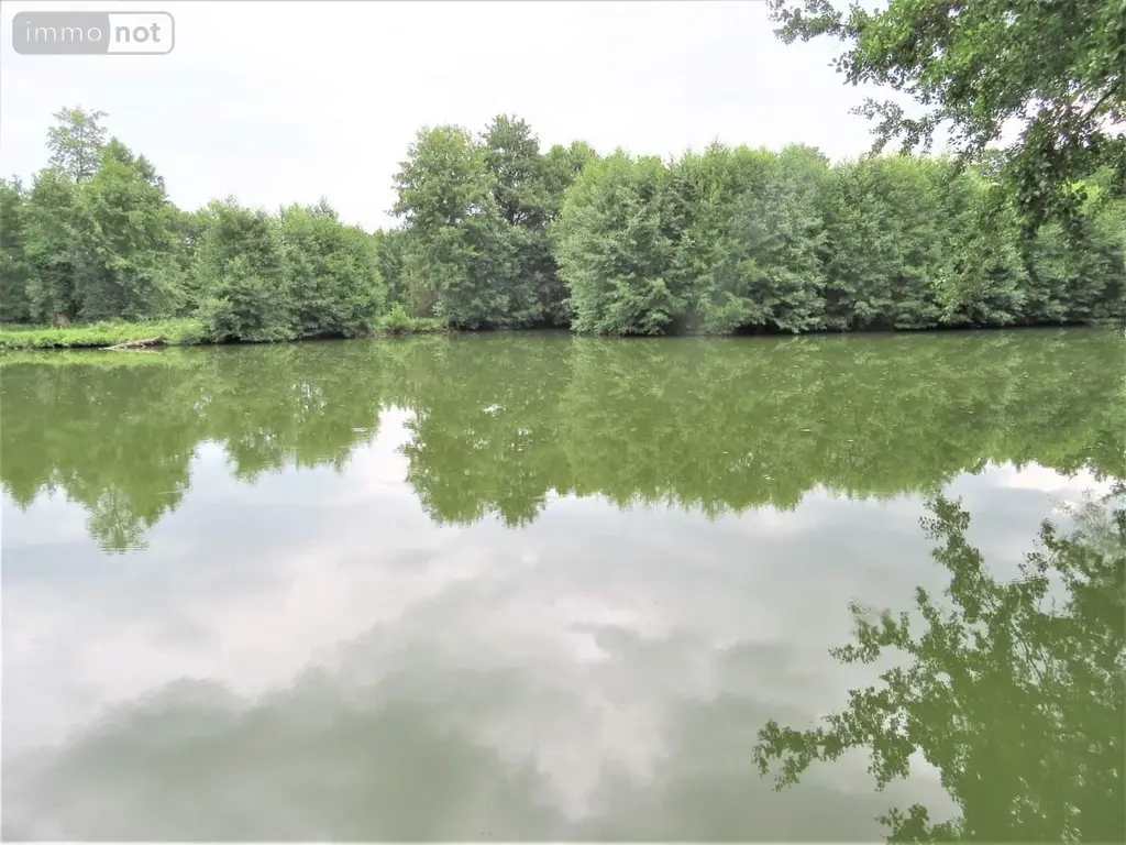 Terrains de loisirs bois etangs a vendre Fraillicourt 08220 Ardennes 08 98600 euros 021/1750 003