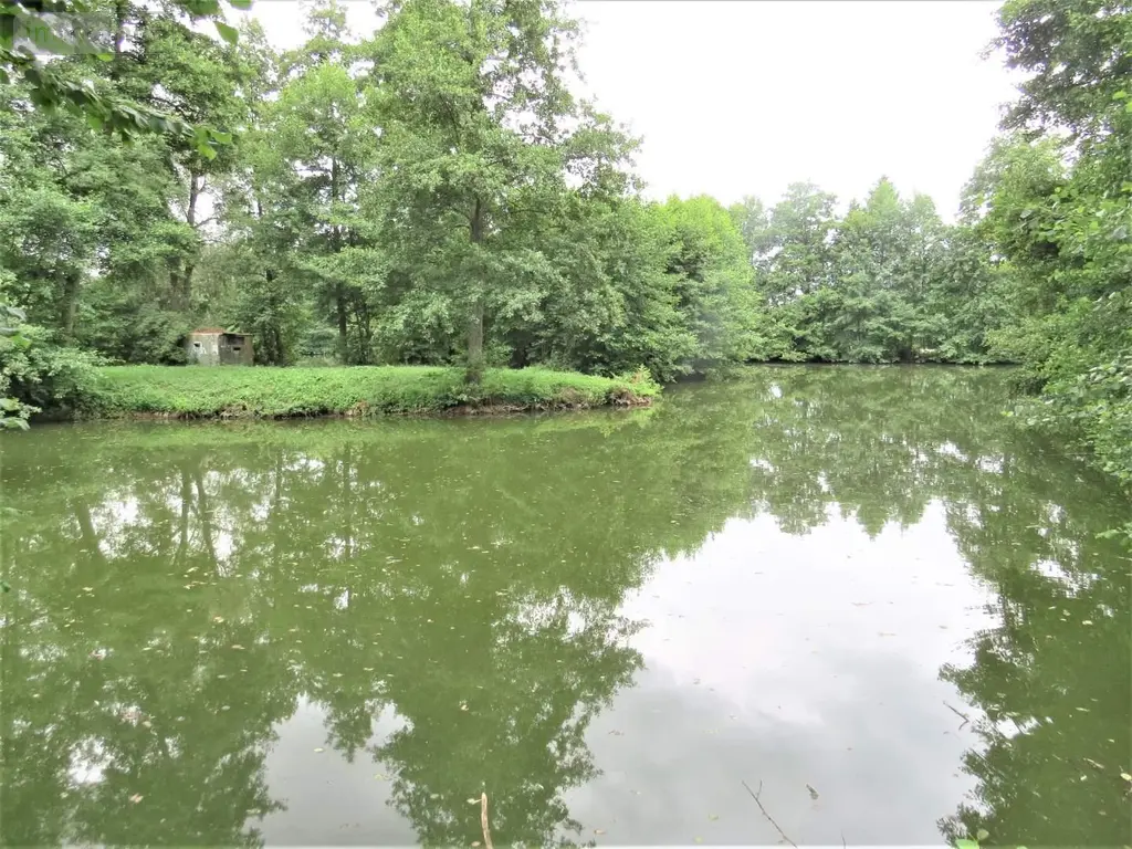 Terrains de loisirs bois etangs a vendre Fraillicourt 08220 Ardennes 08 98600 euros 021/1750 004