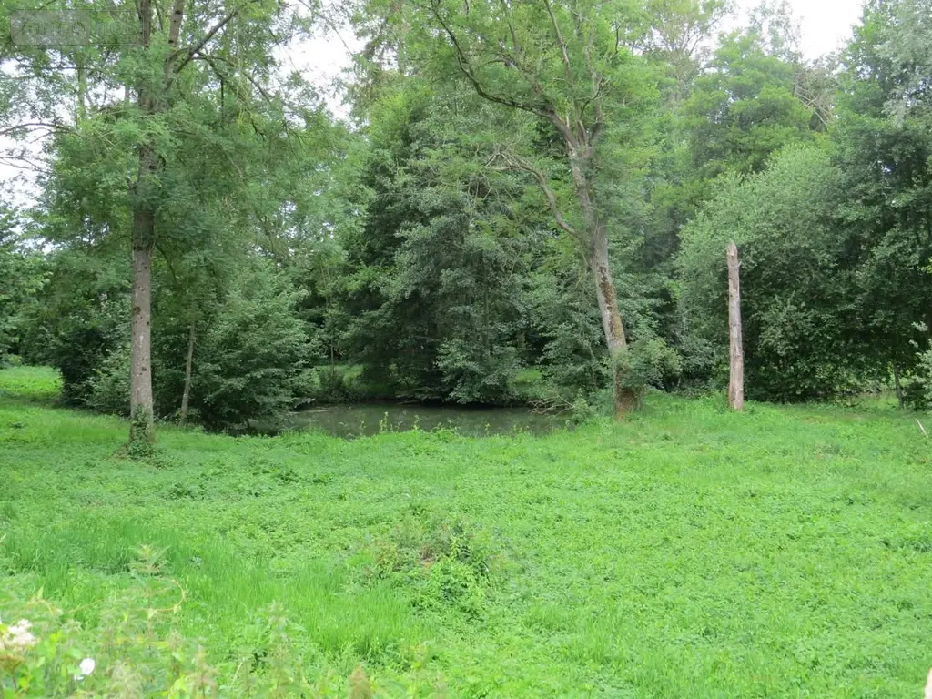 Terrains de loisirs bois etangs a vendre Fraillicourt 08220 Ardennes 08 98600 euros 021/1750 005