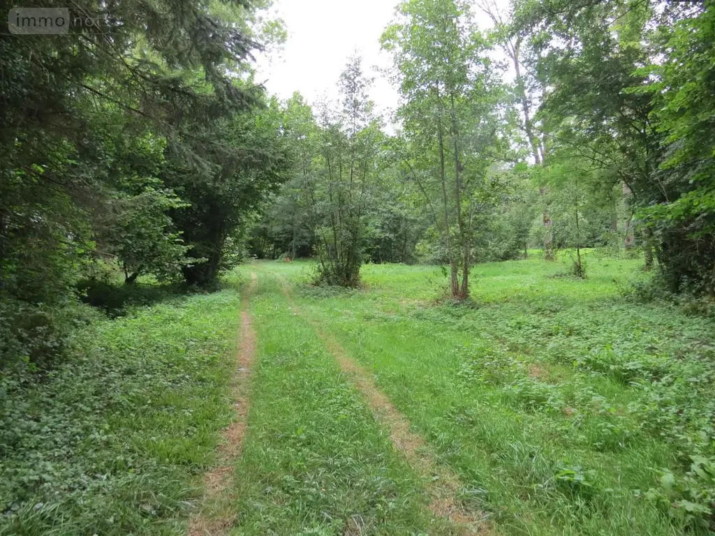 Terrains de loisirs bois etangs a vendre Fraillicourt 08220 Ardennes 08 98600 euros 021/1750 006