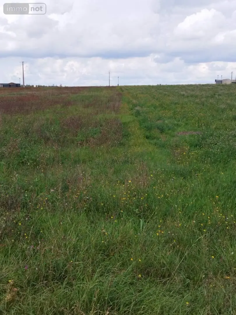 Terrain a batir a vendre Brienne-sur-Aisne 08190 Ardennes 08 607 m2 53500 euros 021/1763 003