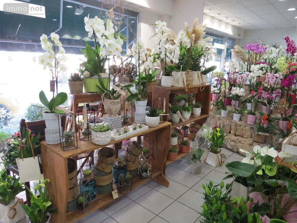 Fonds et murs commerciaux a vendre Rethel 08300 Ardennes 08 65 m2 292000 euros 021/1766 002
