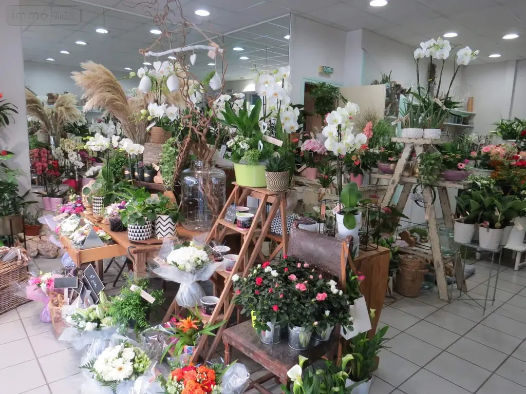 Fonds et murs commerciaux a vendre Rethel 08300 Ardennes 08 65 m2 292000 euros 021/1766 003