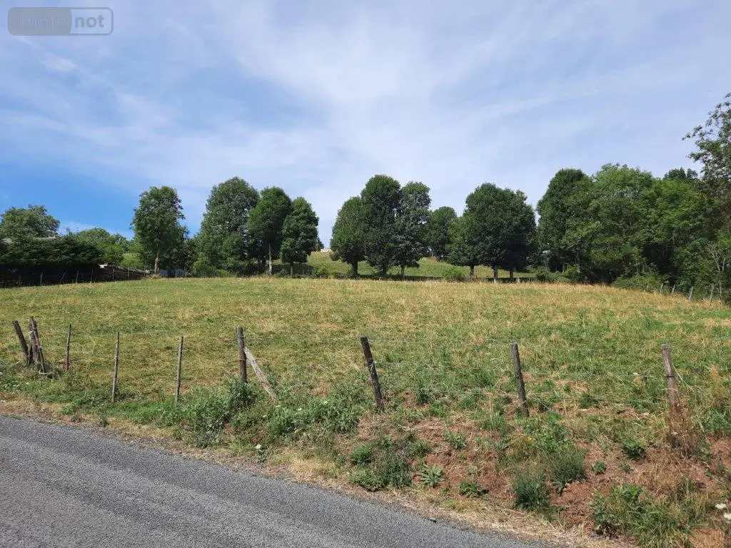 Terrain a batir a vendre Tanavelle 15100 Cantal 15 2900 m2 63600 euros 044/1033 002