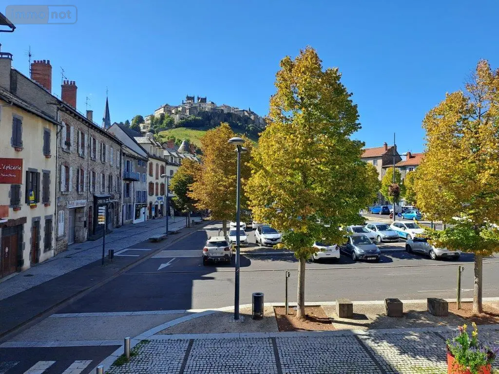 Location fonds et murs commerciaux Saint-Flour 15100 Cantal 15 120 m2 4 pièces 800 euros 044/1047 008