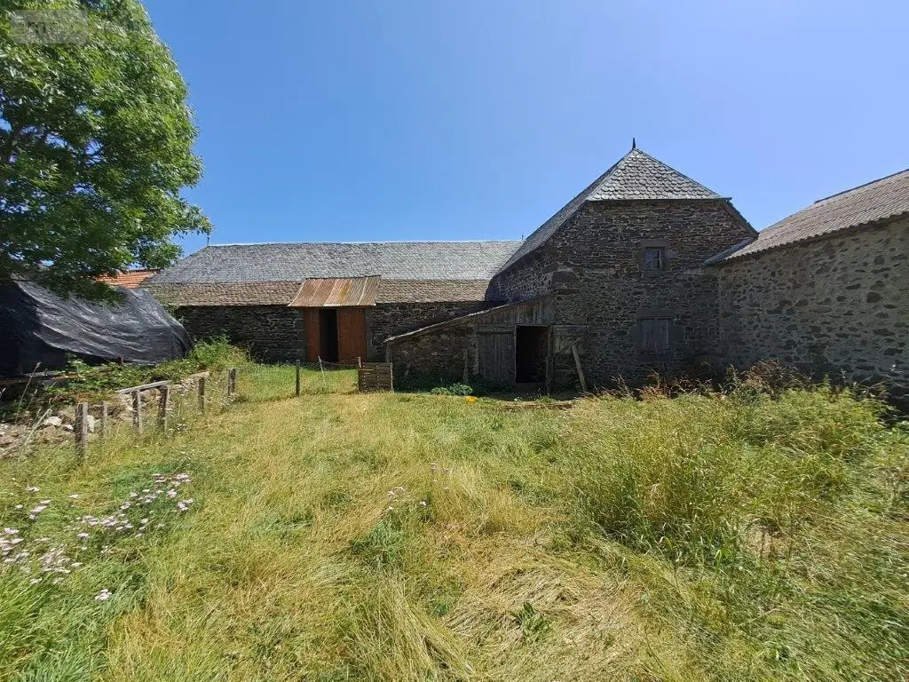 Maison a vendre Villedieu 15100 Cantal 15 141 m2 6 pièces 120000 euros 044/1083 012