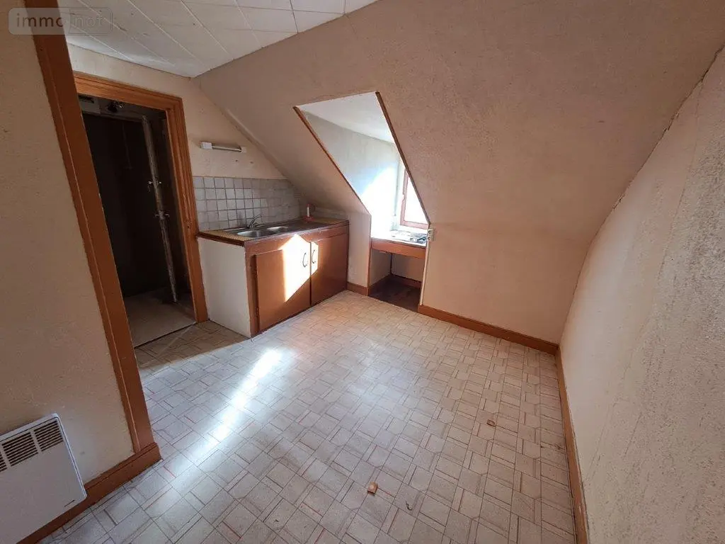 Immeuble de rapport a vendre Saint-Georges 15100 Cantal 15 161 m2 11 pièces 59360 euros 044/1095 015
