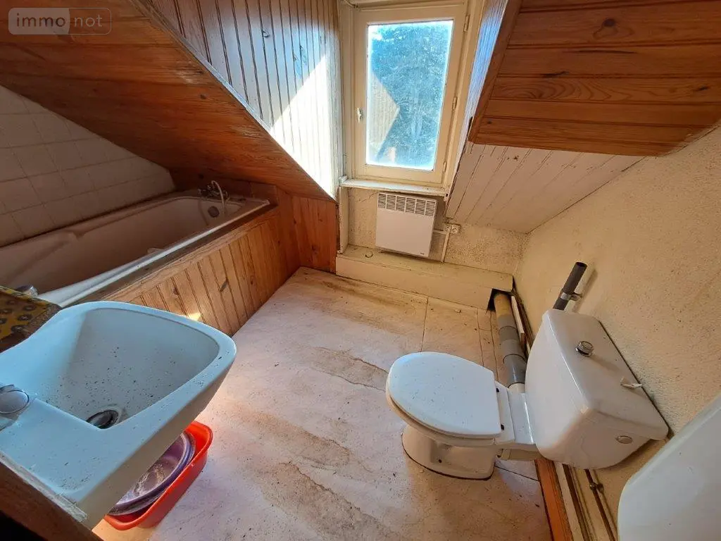 Immeuble de rapport a vendre Saint-Georges 15100 Cantal 15 161 m2 11 pièces 59360 euros 044/1095 016