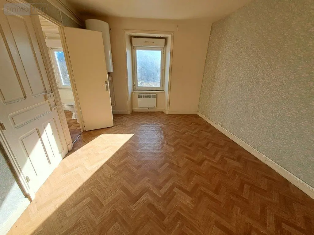 Immeuble de rapport a vendre Saint-Georges 15100 Cantal 15 161 m2 11 pièces 59360 euros 044/1095 007