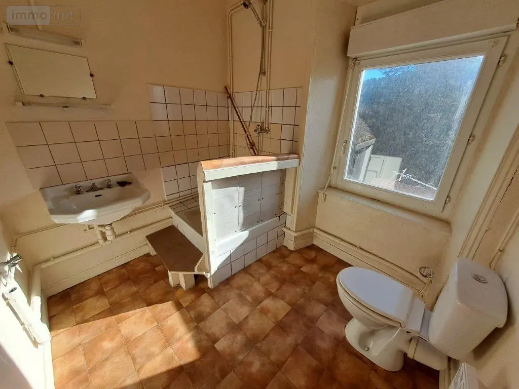 Immeuble de rapport a vendre Saint-Georges 15100 Cantal 15 161 m2 11 pièces 59360 euros 044/1095 008