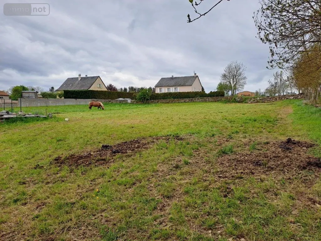 Terrain a batir a vendre Coltines 15170 Cantal 15 2436 m2 39000 euros 044/1129 002