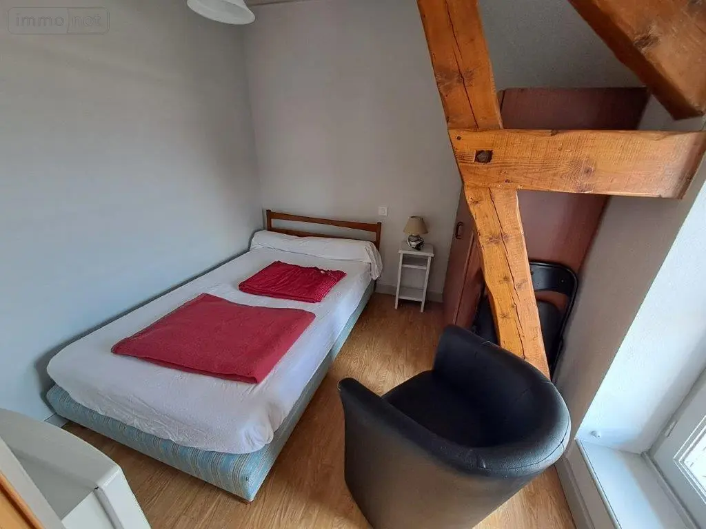 Immeuble de rapport a vendre Saint-Flour 15100 Cantal 15 373 m2 14 pièces 477000 euros 044/1134 002