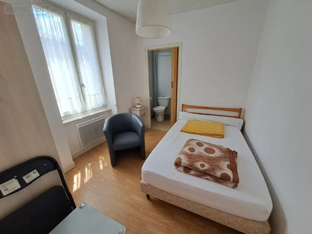 Immeuble de rapport a vendre Saint-Flour 15100 Cantal 15 373 m2 14 pièces 477000 euros 044/1134 006