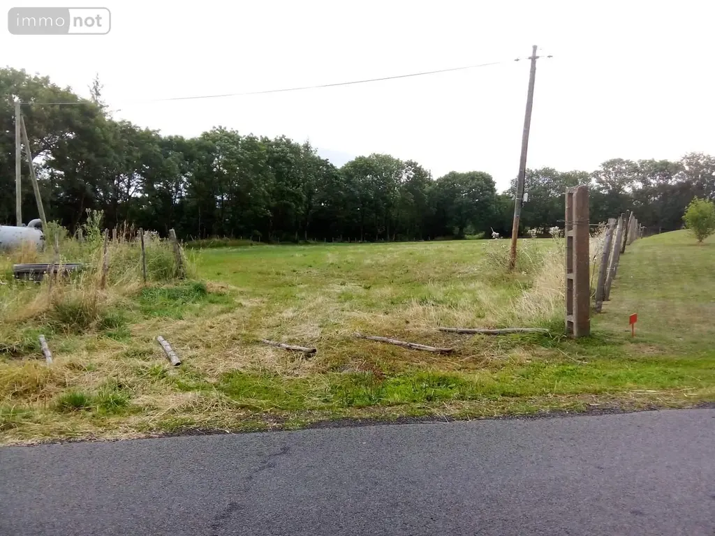 Terrain a batir a vendre Celles 15170 Cantal 15 9001 m2 15 euros 044/1144 001