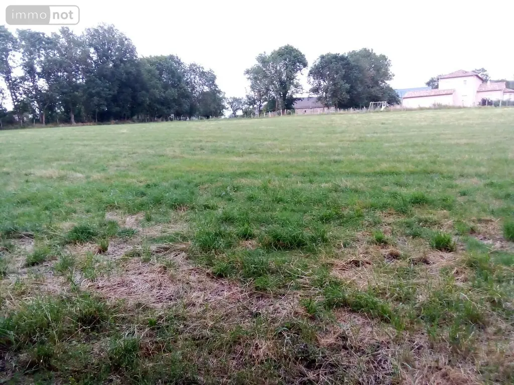 Terrain a batir a vendre Celles 15170 Cantal 15 9001 m2 15 euros 044/1144 002