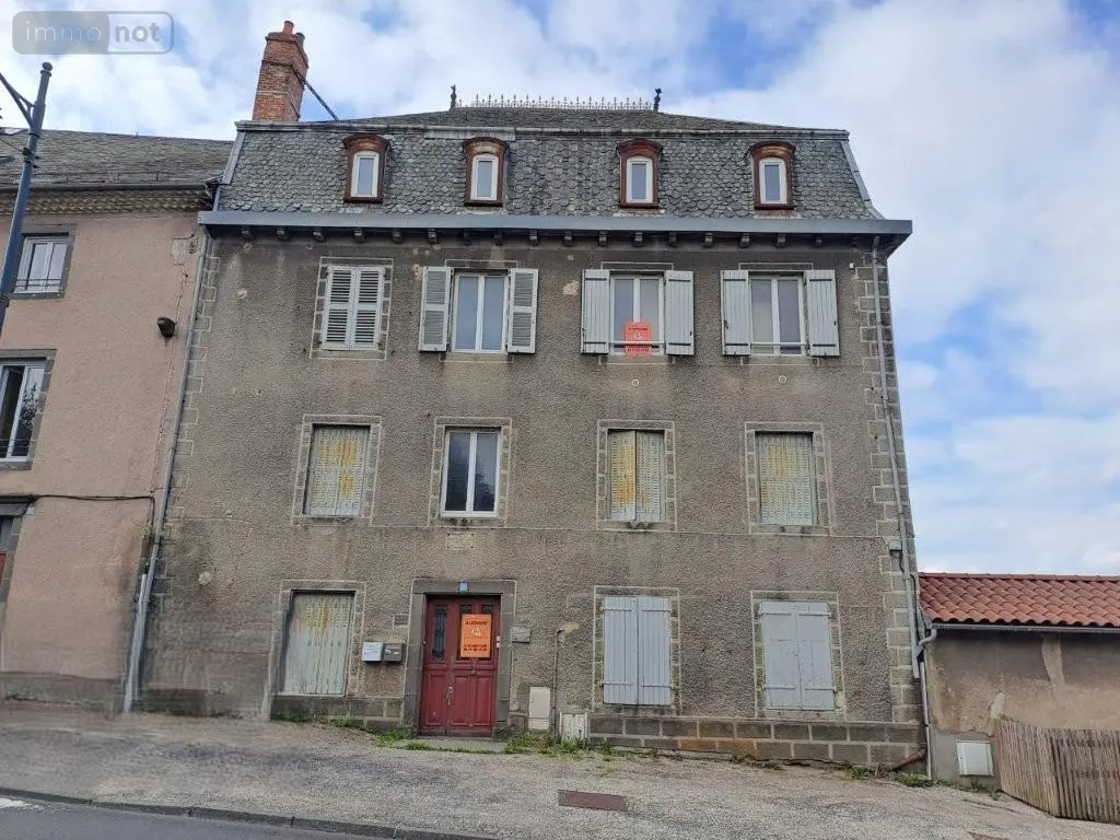 Immeuble de rapport a vendre Saint-Flour 15100 Cantal 15 261 m2 147340 euros 044/1153 001