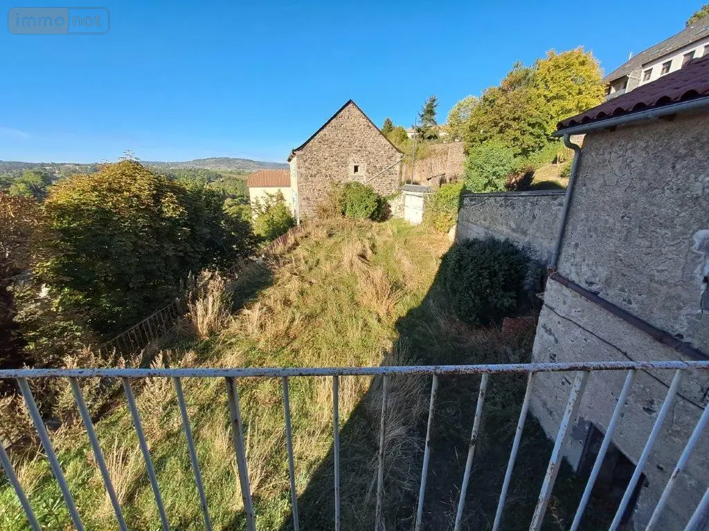 Immeuble de rapport a vendre Saint-Flour 15100 Cantal 15 261 m2 147340 euros 044/1153 003
