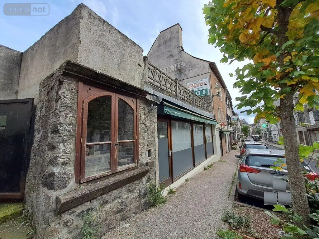 Fonds et murs commerciaux a vendre Allanche 15160 Cantal 15 500 m2 6 pièces 74500 euros 044/1209 014