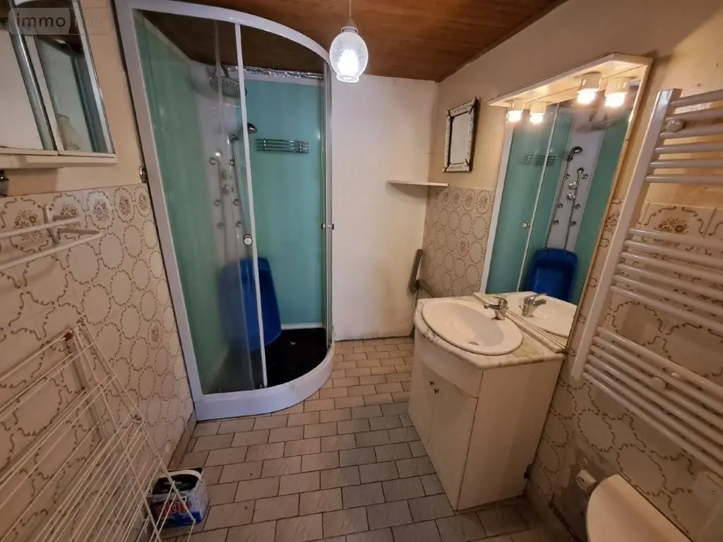 Maison a vendre Dienne 15300 Cantal 15 101 m2 5 pièces 59900 euros 044/1220 010