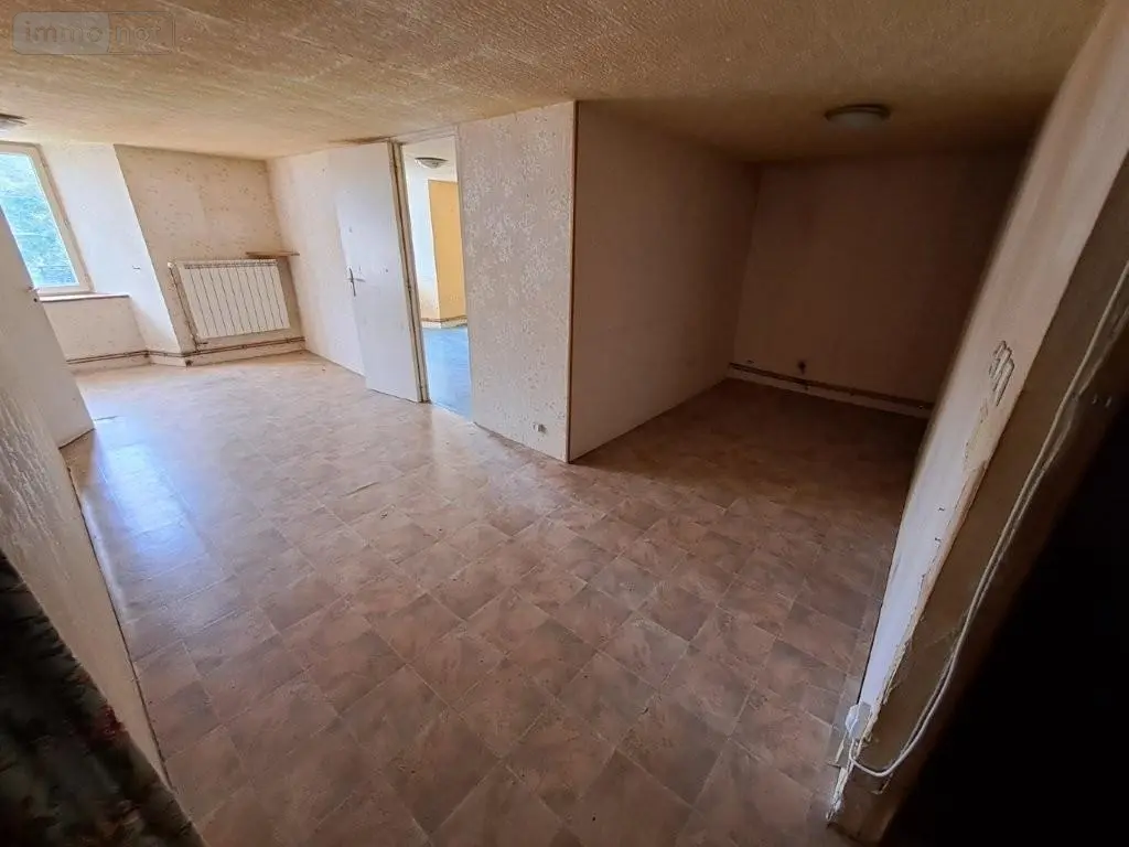 Fonds et murs commerciaux a vendre Les Ternes 15100 Cantal 15 235 m2 4 pièces 84800 euros 044/1237 010