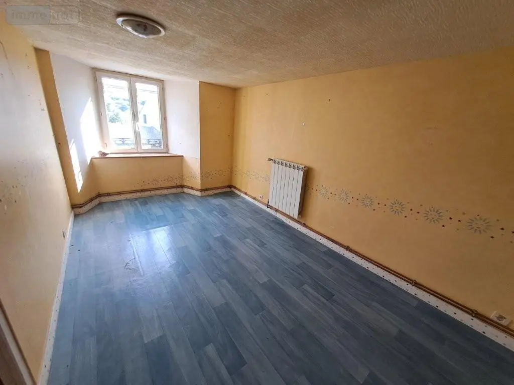 Fonds et murs commerciaux a vendre Les Ternes 15100 Cantal 15 235 m2 4 pièces 84800 euros 044/1237 012