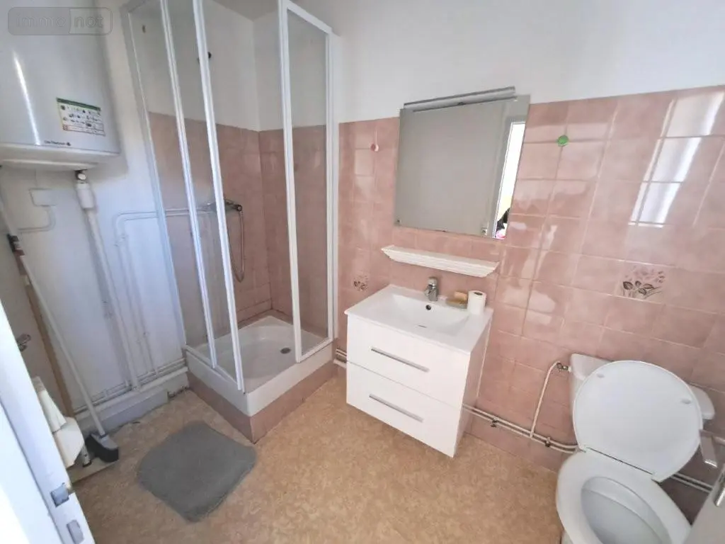 Immeuble de rapport a vendre Saint-Flour 15100 Cantal 15 190 m2 11 pièces 371000 euros 044/1247 004
