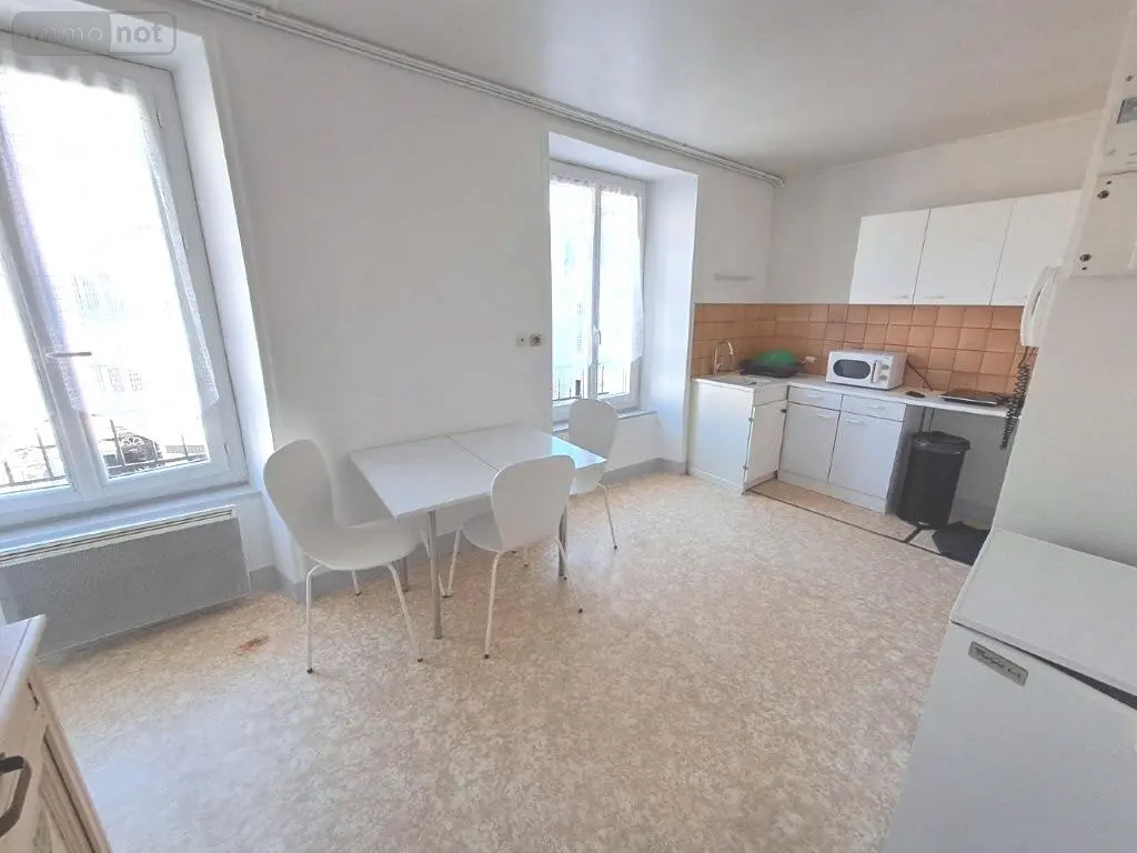 Immeuble de rapport a vendre Saint-Flour 15100 Cantal 15 190 m2 11 pièces 371000 euros 044/1247 005