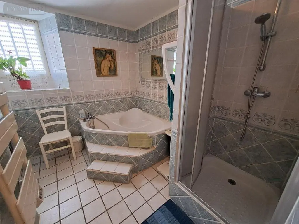 Maison a vendre Neuvéglise-sur-Truyère 15100 Cantal 15 223 m2 7 pièces 367900 euros 044/1262 012