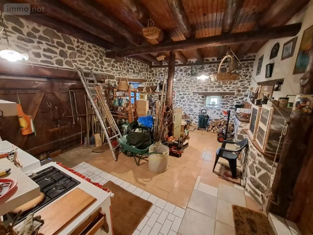 Maison a vendre Neuvéglise-sur-Truyère 15100 Cantal 15 223 m2 7 pièces 367900 euros 044/1262 016