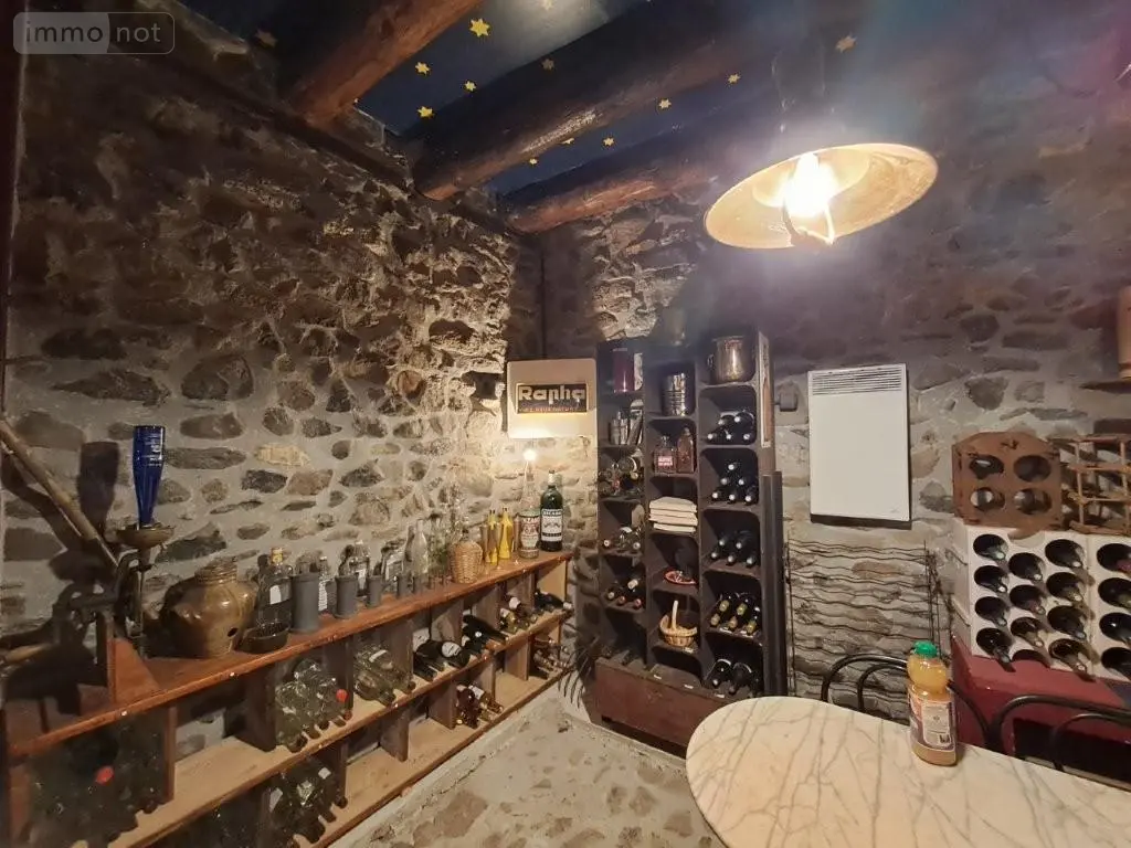 Maison a vendre Neuvéglise-sur-Truyère 15100 Cantal 15 223 m2 7 pièces 367900 euros 044/1262 017