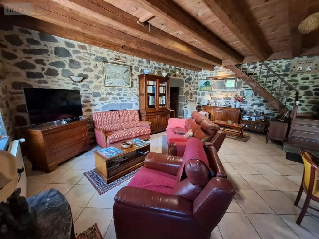 Maison a vendre Neuvéglise-sur-Truyère 15100 Cantal 15 223 m2 7 pièces 367900 euros 044/1262 002