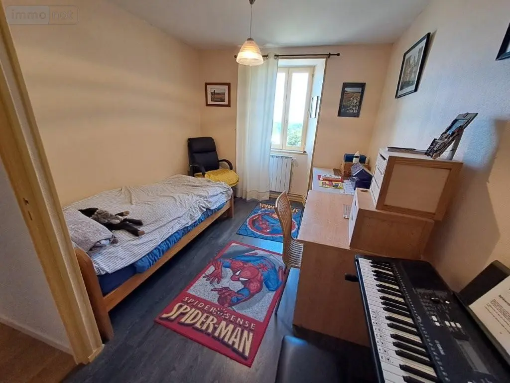 Maison a vendre Neuvéglise-sur-Truyère 15100 Cantal 15 223 m2 7 pièces 367900 euros 044/1262 009
