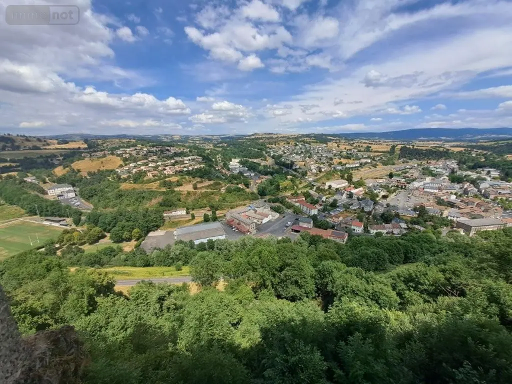 Immeuble de rapport a vendre Saint-Flour 15100 Cantal 15 443 m2 12 pièces 68900 euros 044/1269 004