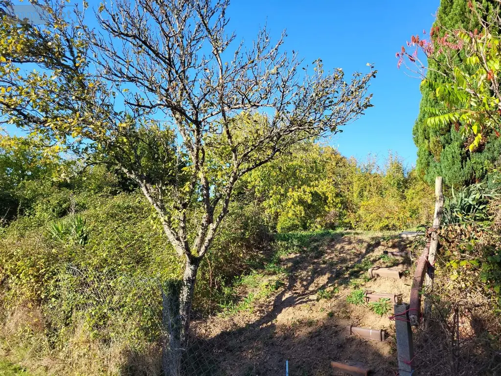 Terrain a batir a vendre Bussière-Dunoise 23320 Creuse 23 900 m2 10080 euros 1172 004