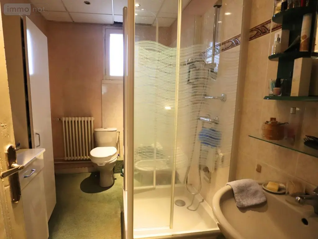 Immeuble de rapport a vendre Quimper 29000 Finistère 29 496 m2 808500 euros 002/883 010