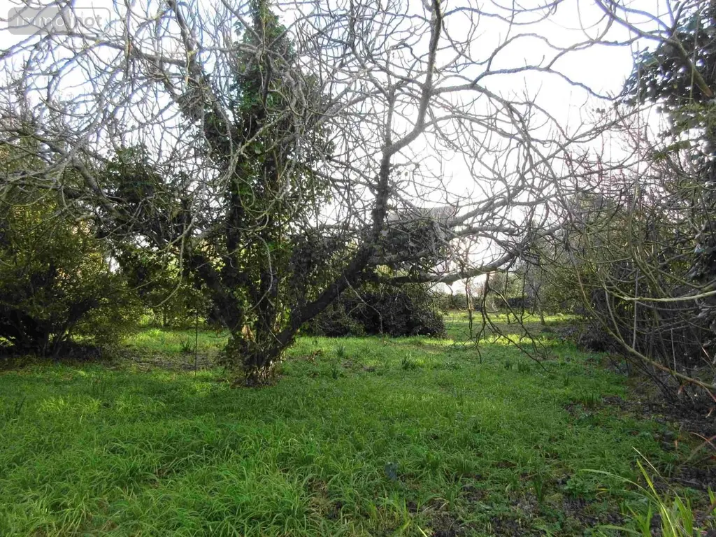 Maison a vendre Plouhinec 29780 Finistère 29 1 m2 3 pièces 182350 euros 020/3640 015