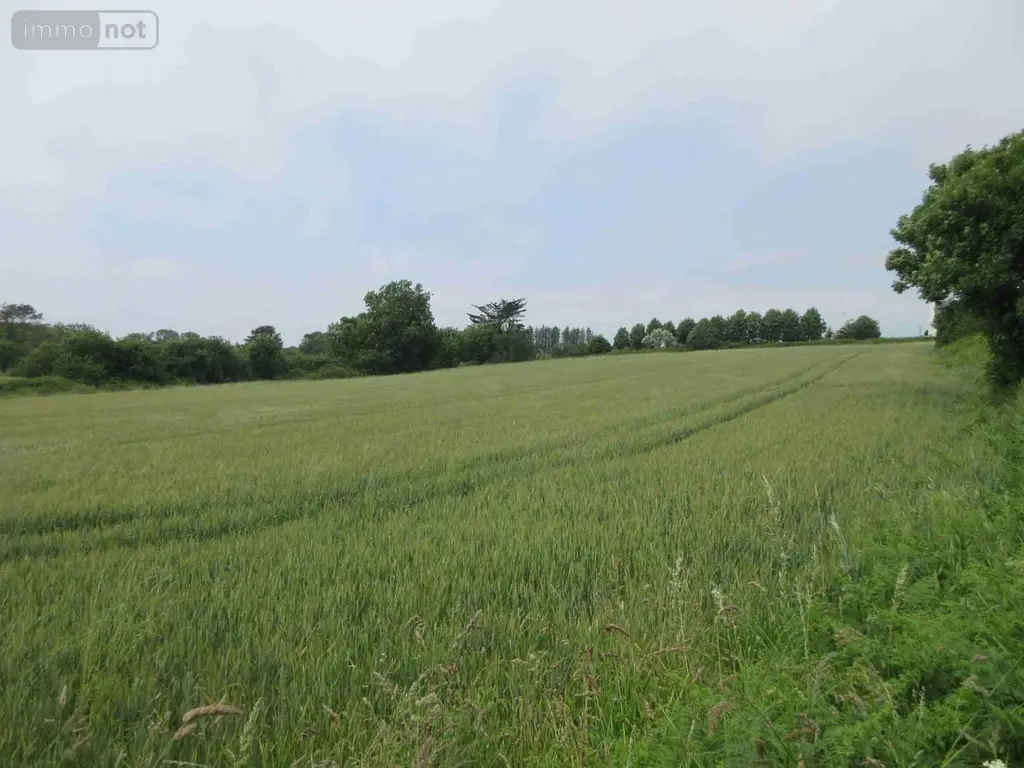Maison a vendre Plouhinec 29780 Finistère 29 1 m2 1 pièce 170523 euros 020/3662 001