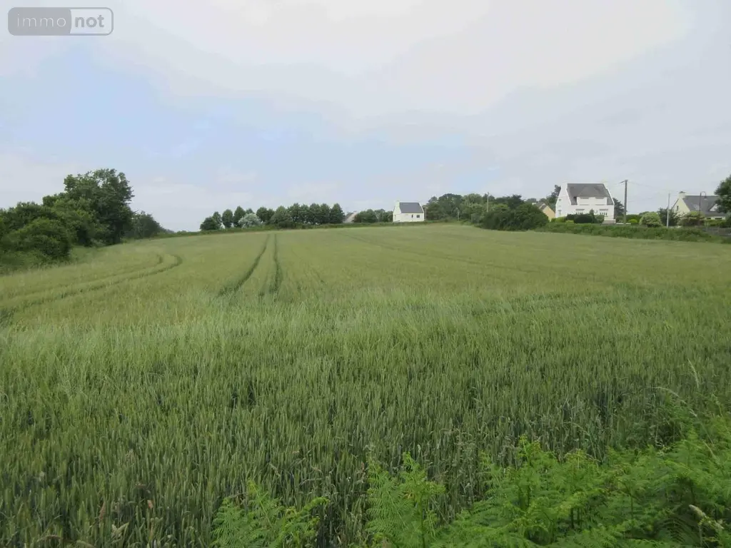 Maison a vendre Plouhinec 29780 Finistère 29 1 m2 1 pièce 170523 euros 020/3662 003