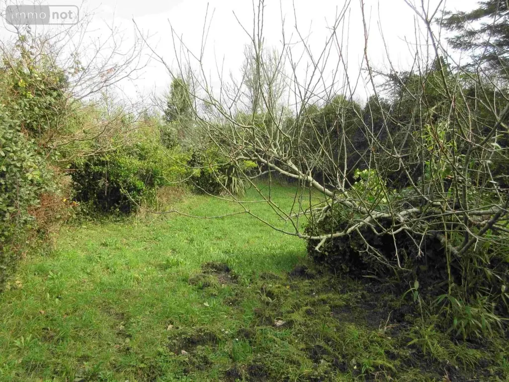 Maison a vendre Primelin 29770 Finistère 29 1 m2 1 pièce 74200 euros 020/3725 003
