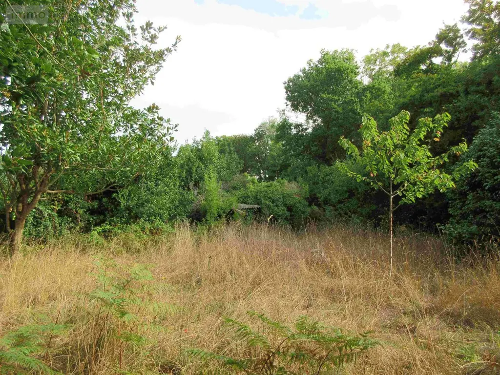 Maison a vendre Audierne 29770 Finistère 29 1 m2 6 pièces 157200 euros 020/3792 010
